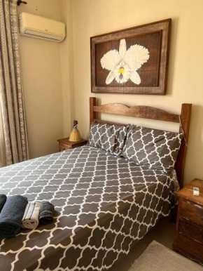 Rio Flat Praia 7
